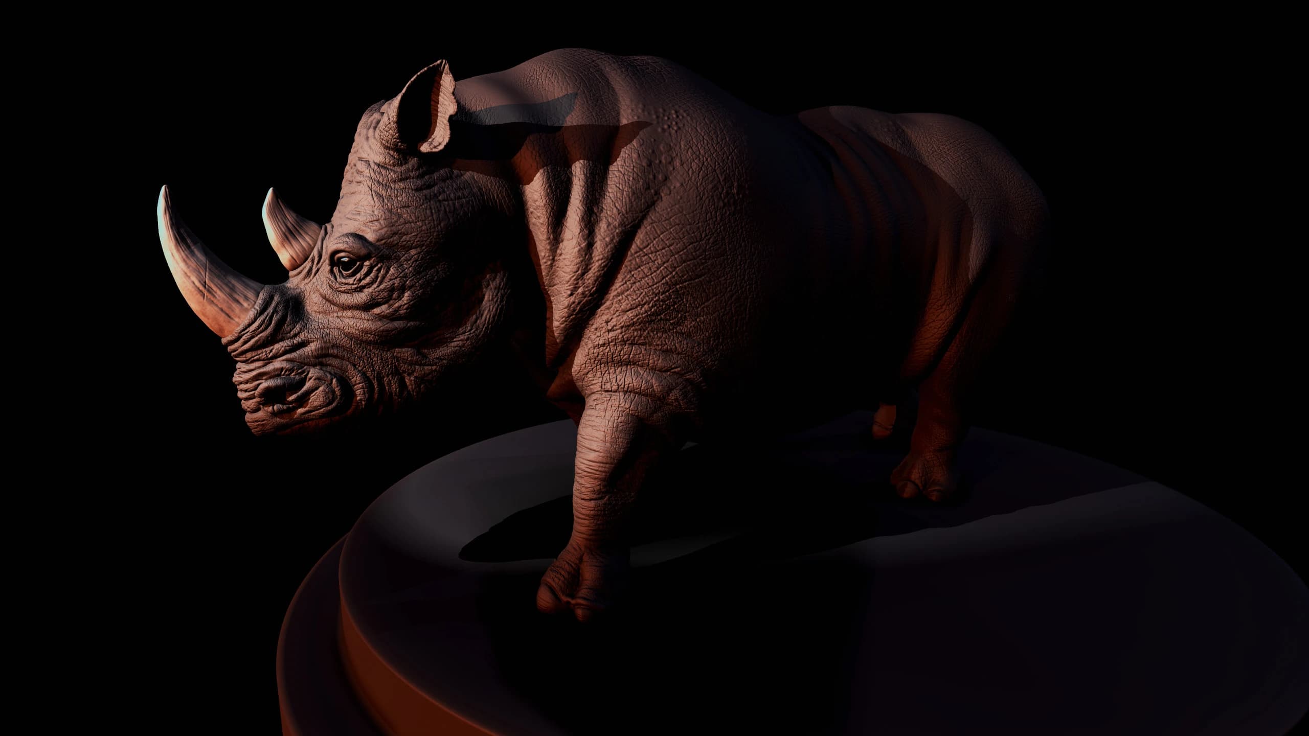 Rhino, image 1