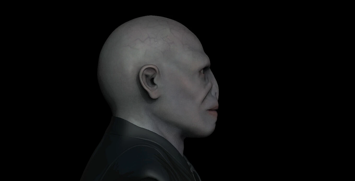 Lord Voldemort Bust, image 3