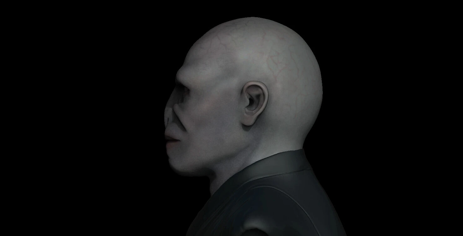 Lord Voldemort Bust, image 6