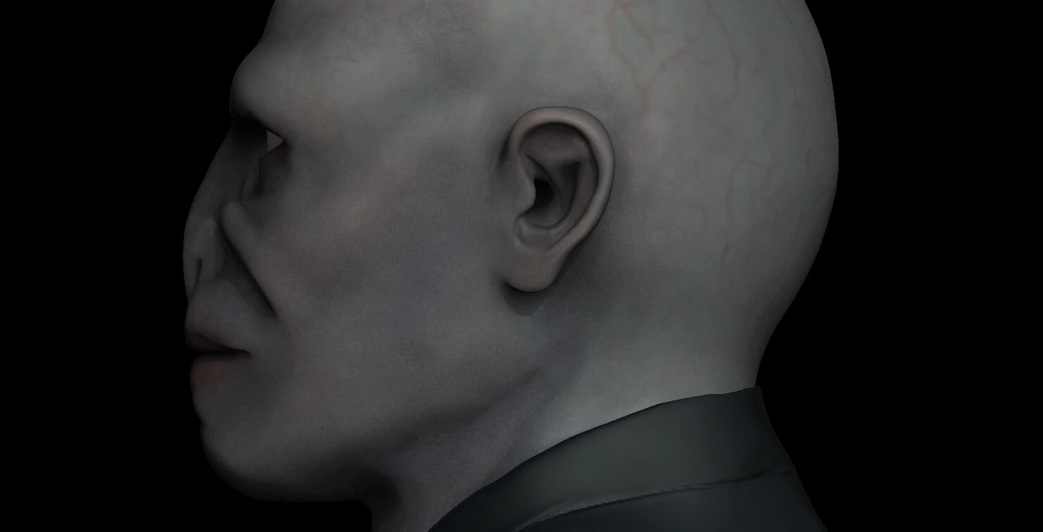 Lord Voldemort Bust, image 7