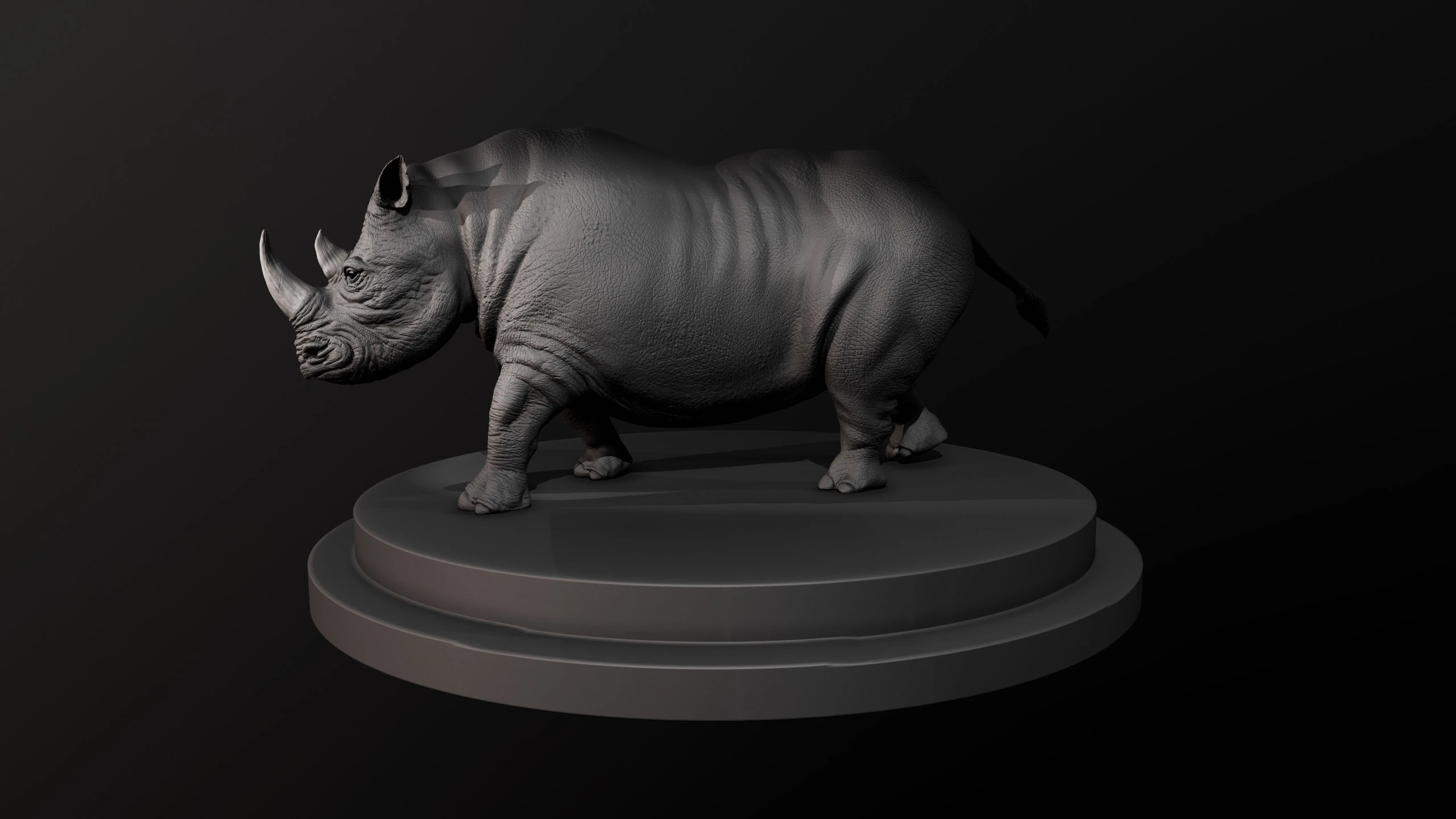 Rhino, image 10
