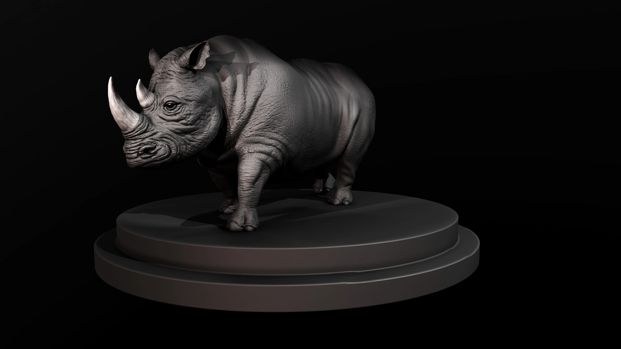 Rhino, image 11
