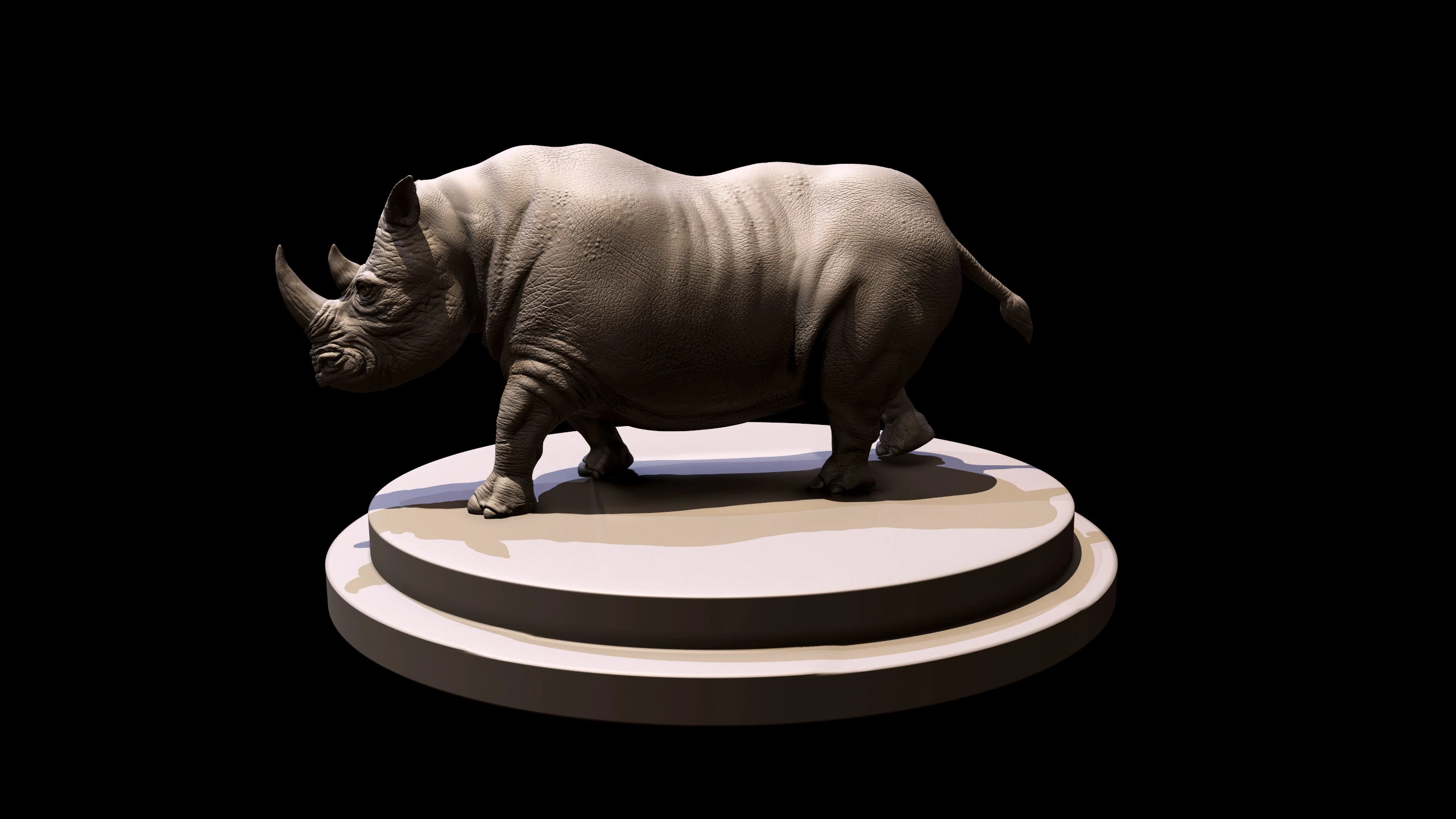 Rhino, image 12