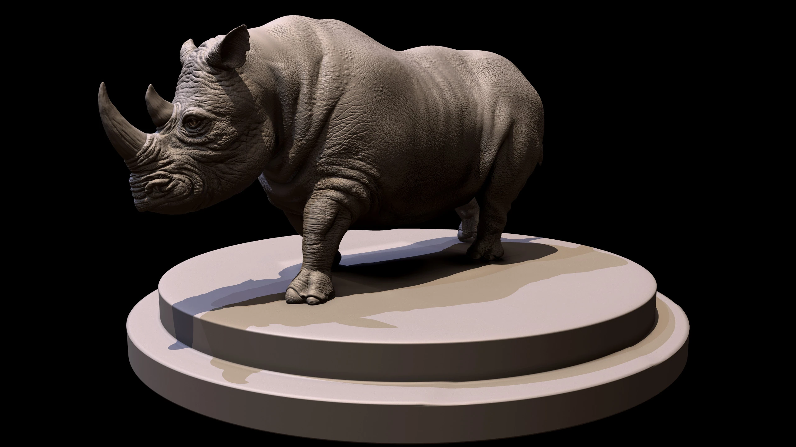 Rhino, image 13
