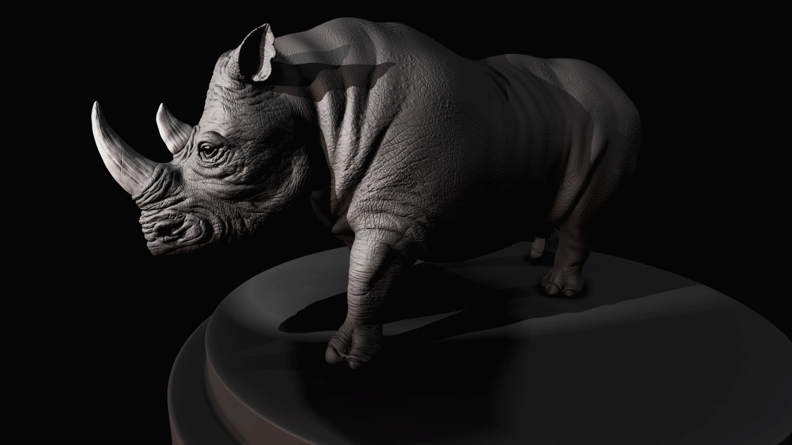 Rhino, image 14