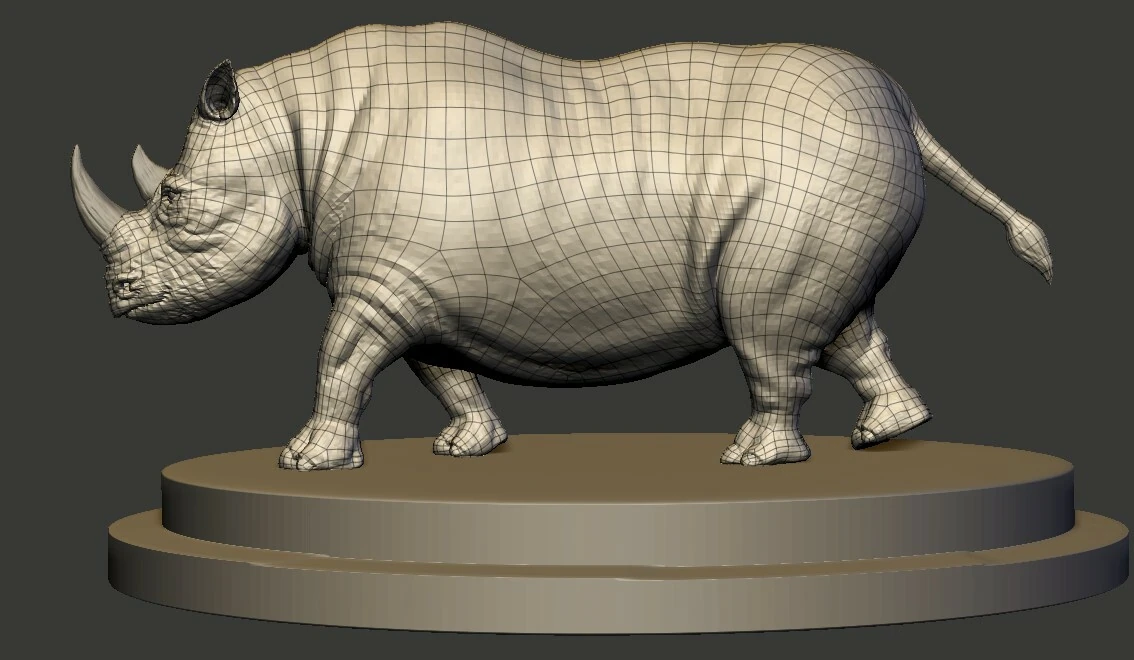Rhino, image 2