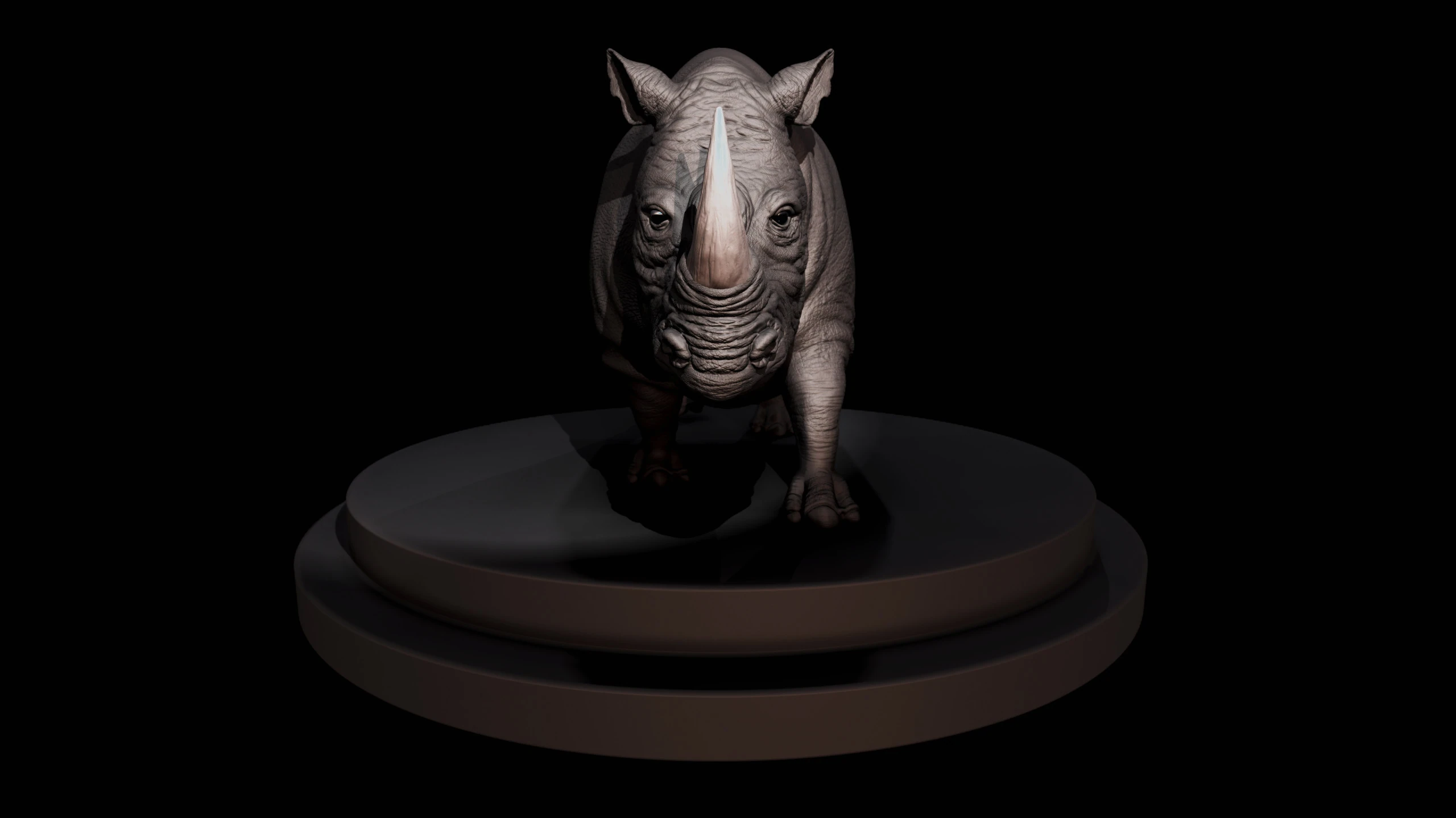 Rhino, image 3