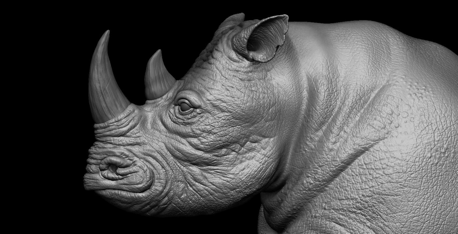 Rhino, image 4