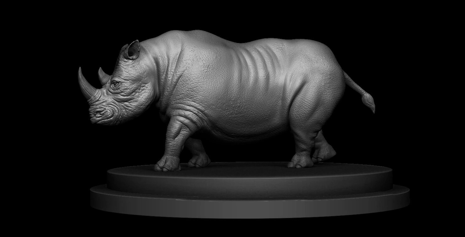 Rhino, image 5