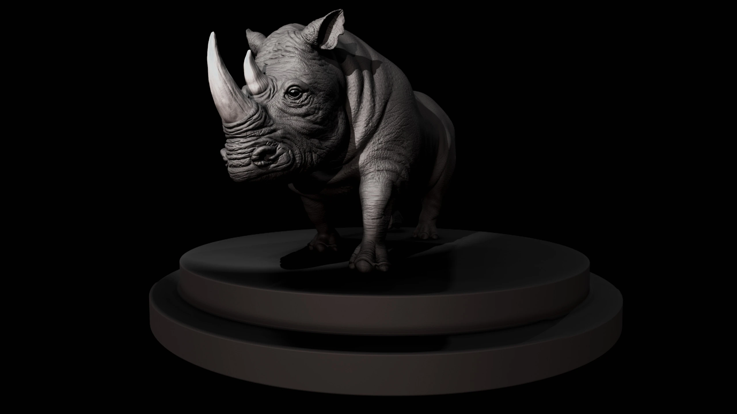 Rhino, image 6