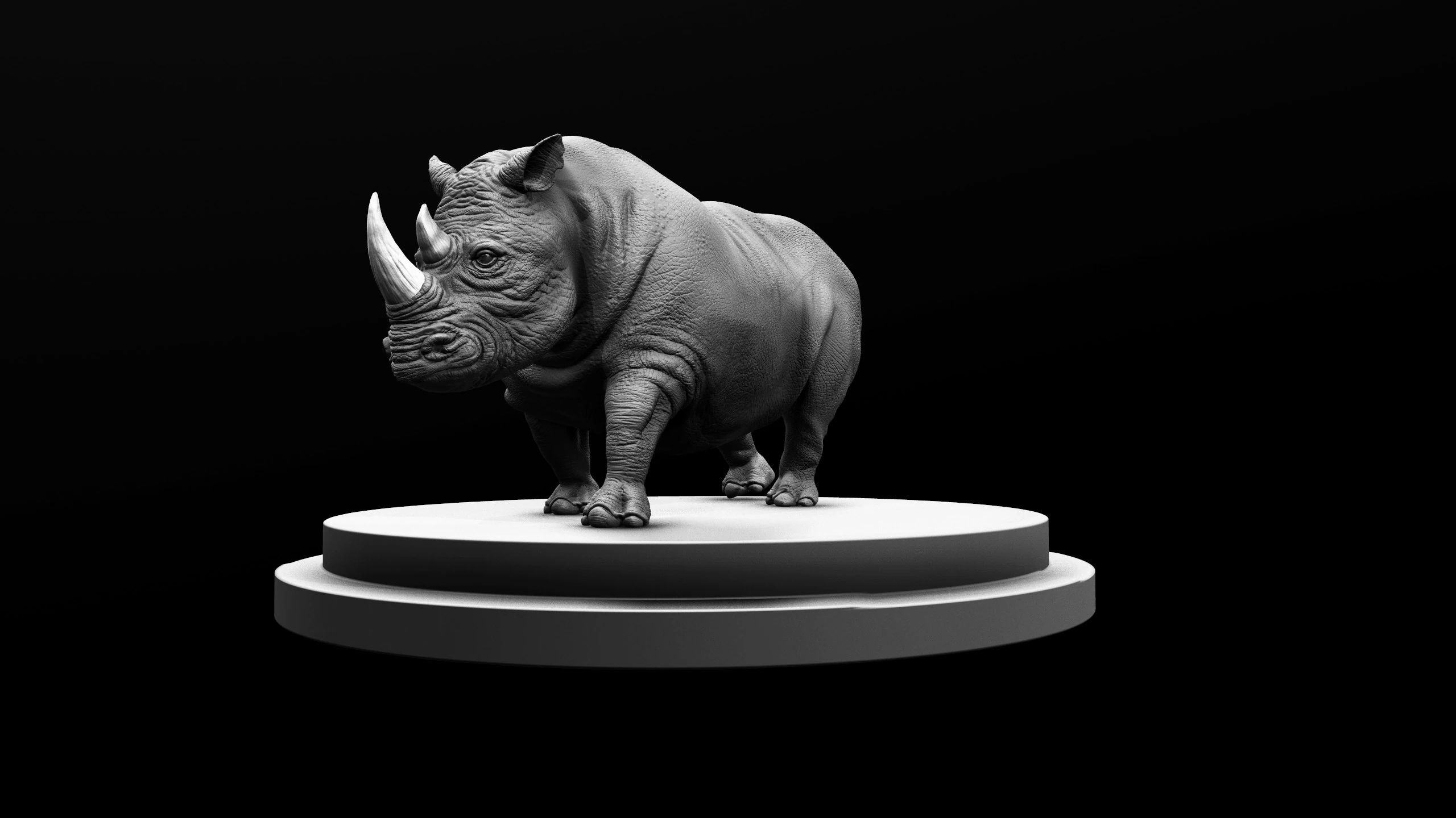 Rhino, image 7