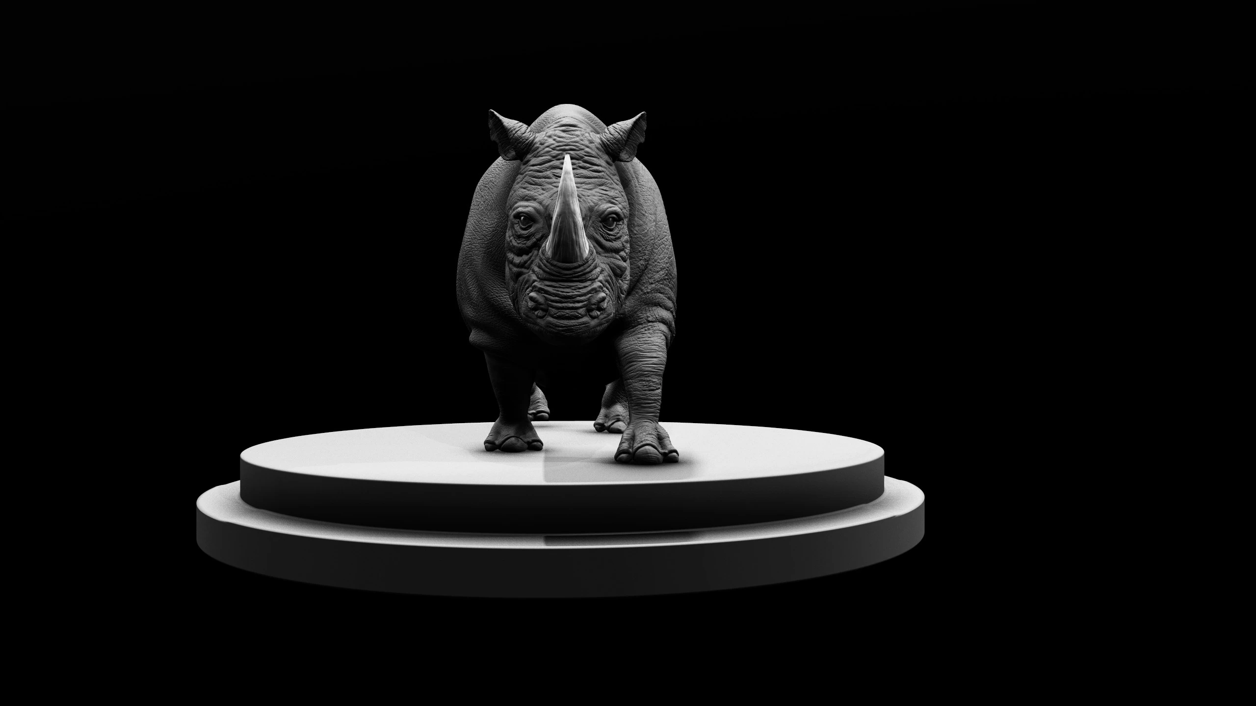 Rhino, image 8