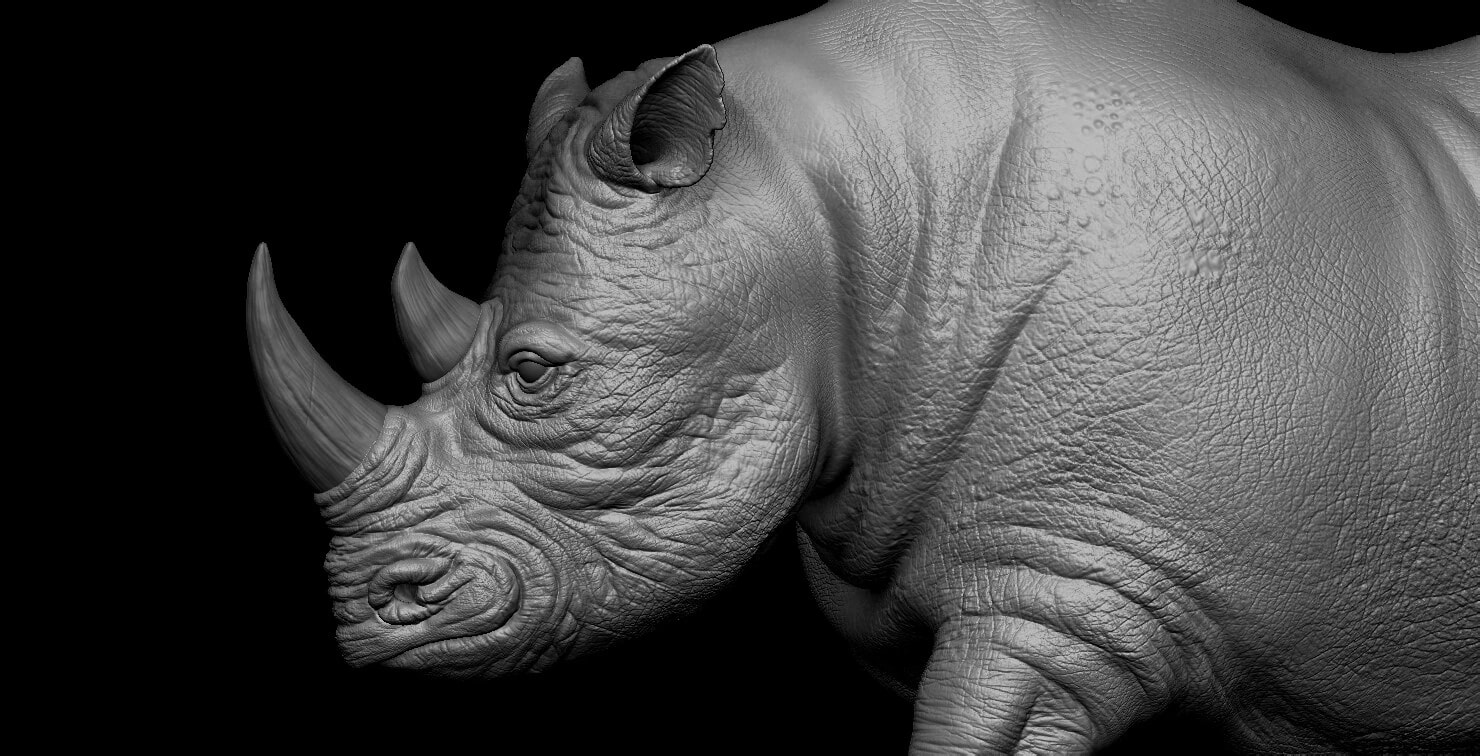Rhino, image 9